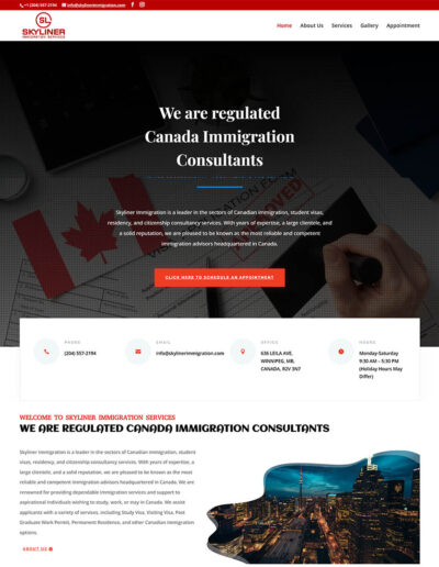 Skyliner Immigration