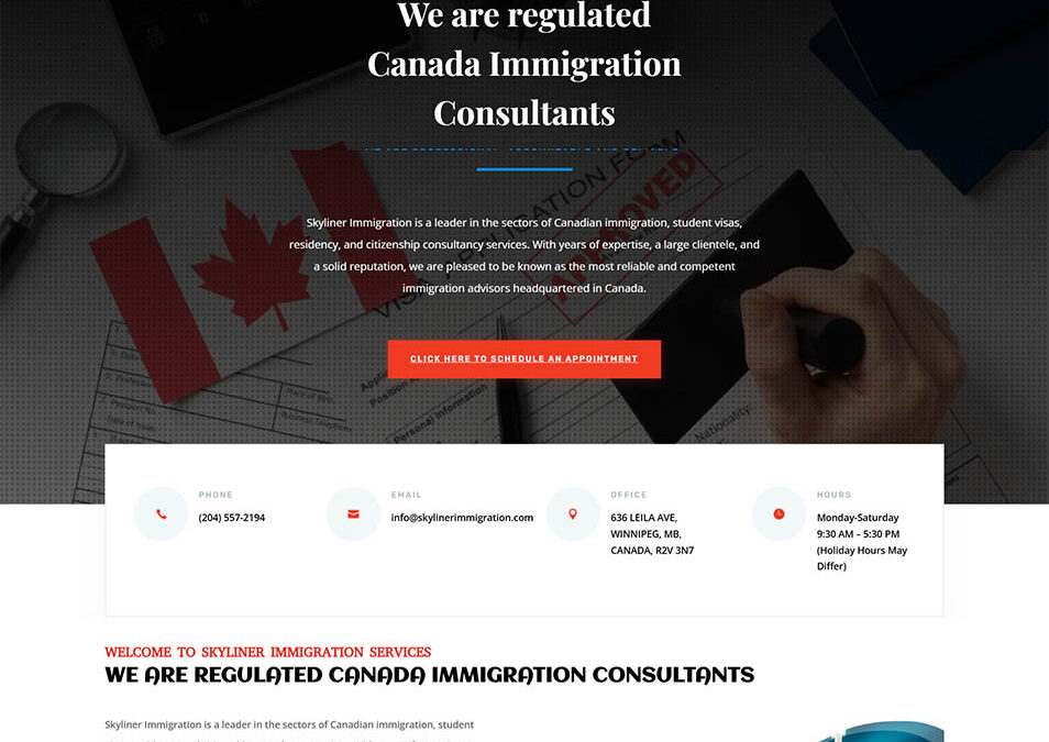 Skyliner Immigration